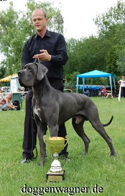 Ch Julius Vom Hause Wagner