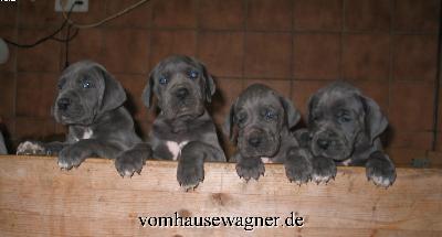 Johanna Vom Hause Wagner