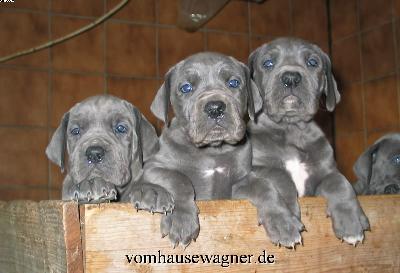 Johanna Vom Hause Wagner