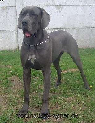 Josefine Vom Hause Wagner