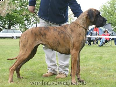 Aljany De La Tricolore