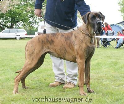 Aljany De La Tricolore