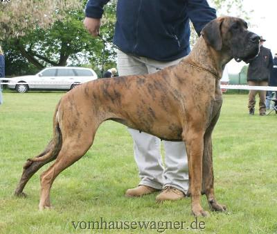 Aljany De La Tricolore