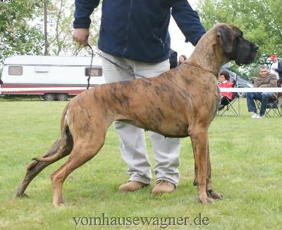 Aljany De La Tricolore