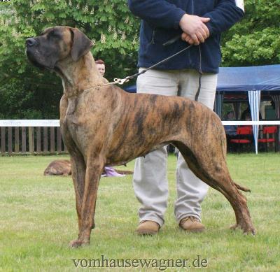 Aljany De La Tricolore