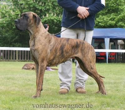 Aljany De La Tricolore