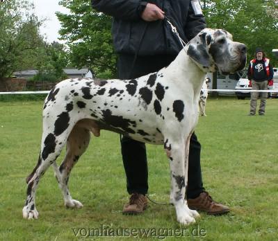 Keno Vom D�nner Land