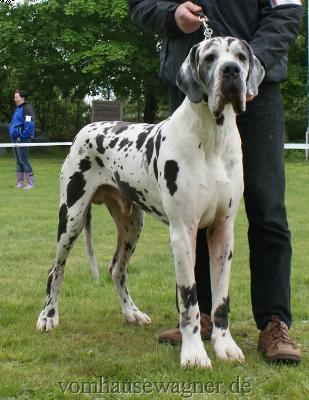 Keno Vom D�nner Land