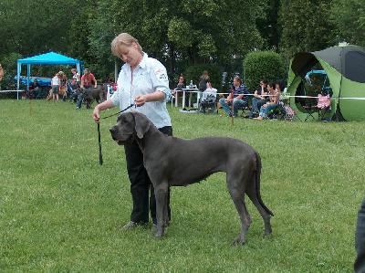 Angel Vom Kirchenweg