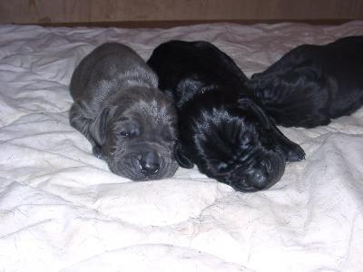 Agila Vom Kirchenweg