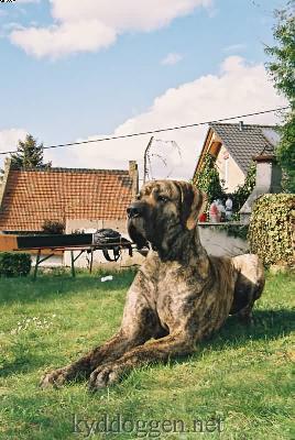 Bacchus Ex Umbra In Solem