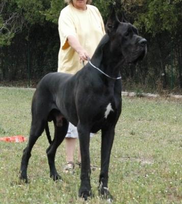 Daman Del Nord Ovest