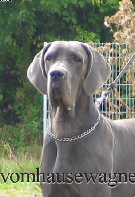 Lucidus Vom Hause Wagner