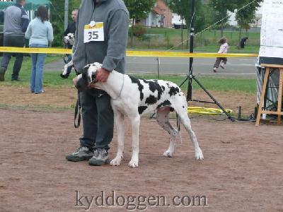 Askan Von Der Xylonor