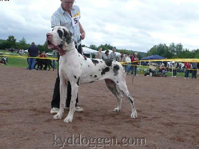 Annalena Von Der Xylonor