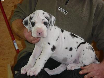 Annalena Von Der Xylonor