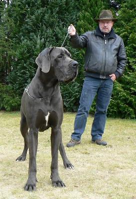 Cassam Des Terres De La Rairie