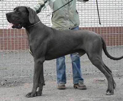 Cassam Des Terres De La Rairie