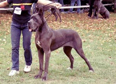Paola-blue Des Terres Royales