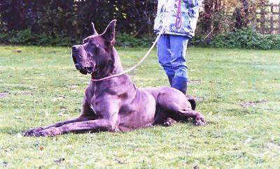 Ma Blue Des Terres Royales