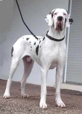 In Extremo Vom White Temple