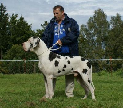 In Extremo Vom White Temple