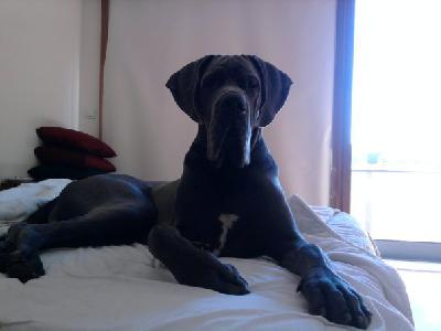 Neuron Vom Hause Wagner