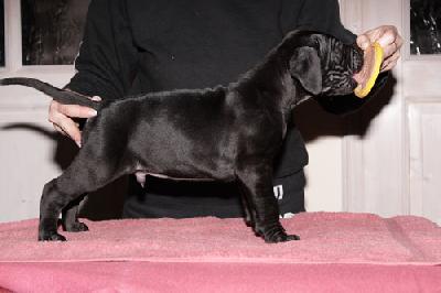 General Vom Teuchelwald