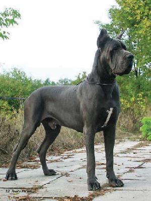 High Resolution Dei Monti Del Keraton