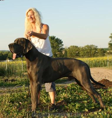 Merkur Vom Hause Wagner