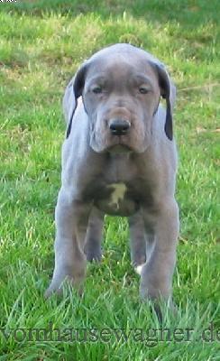 Olfactoria Vom Hause Wagner