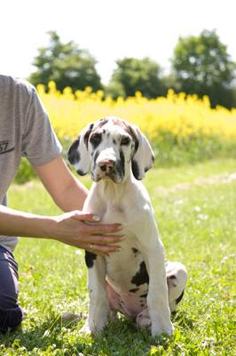 Happy Vom Teuchelwald