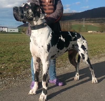 Emanuel Vom Cabellahof