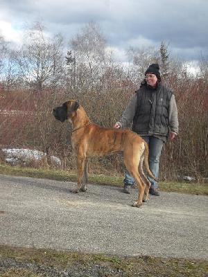 El Suano Bocca D�tigre