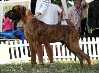 Otto Vom Teufelsgrund