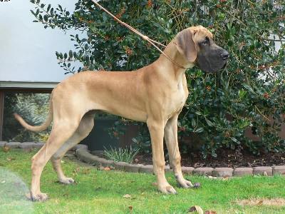 Otmar Vom Teufelsgrund