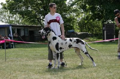 Barakouda De La Grisonniere