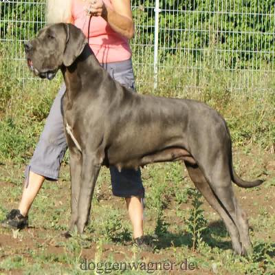 Quadriga Vom Hause Wagner