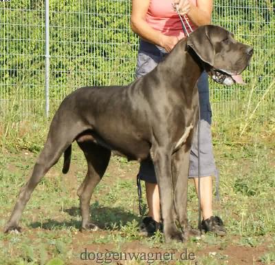 Quadriga Vom Hause Wagner