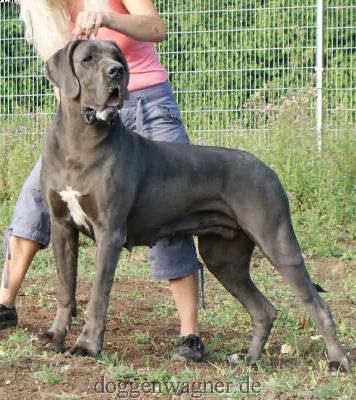 Quadriga Vom Hause Wagner