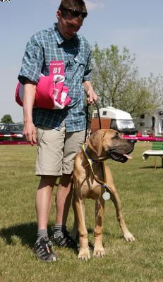 Luna Di Miele Univers