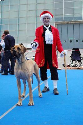 Luna Di Miele Univers