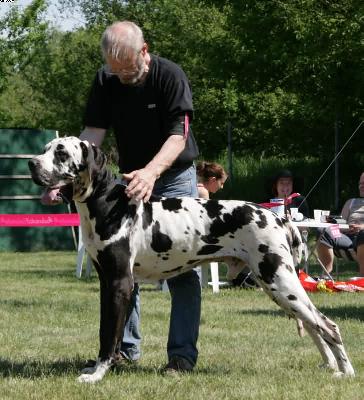 Bradness De La Grisonniere