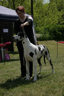 Hoppinghams Rhythmn Rhyme