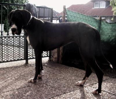 Jandra Vom White Temple