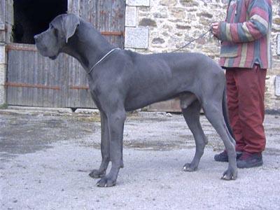 Vic D�ochretolievaltt