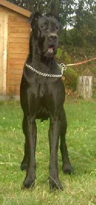 Ursulla Dochretolievaltt