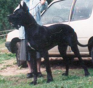 Marco Dochretolievaltt