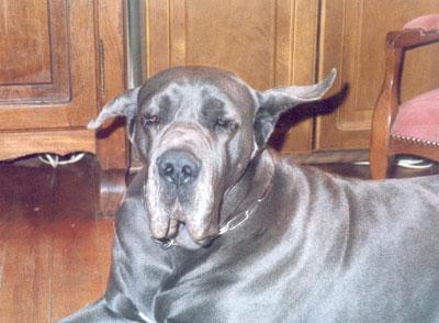 Lucie Dochretolievaltt