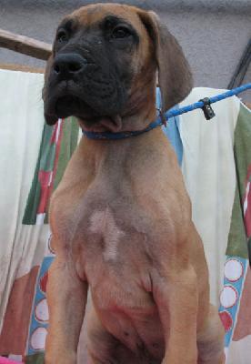 Jason Vom Regenbogental